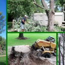 Kreft Tree Service - Tree Service