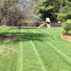 Affordable Lawn Care