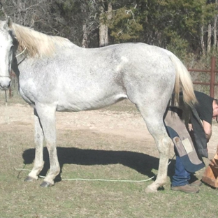 Christian Nicklas Farrier Service - stephenville, TX