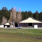 Freshwater Valley Stables