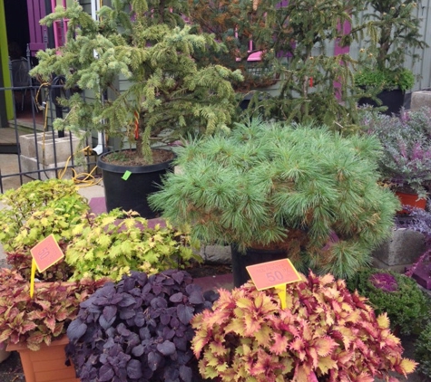 Produce Station - Ann Arbor, MI