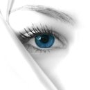 Eyebrow Masters
