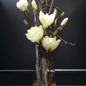 Gallery Image Number 8