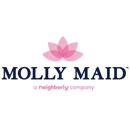 Molly Maid of the Midlands and Columbia - Building Maintenance