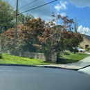 T and T Services - Tree Service