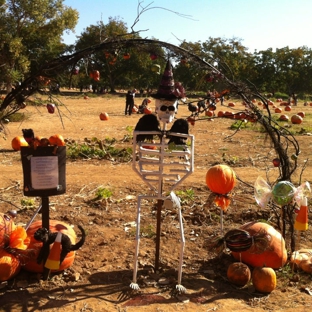 Bishop's Pumpkin Farm - Wheatland, CA