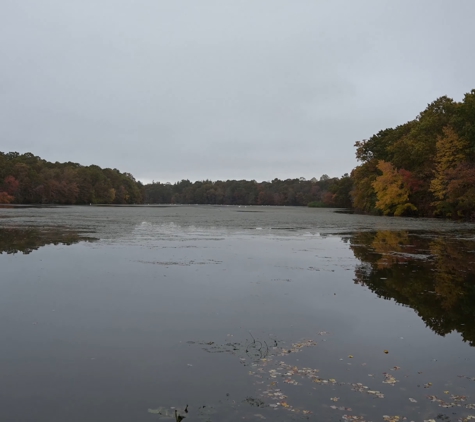 The Center for Cosmetic Dentistry - Smithtown, NY. Walking around Stump Pond - Blydenburgh Park 0-22 screenshot