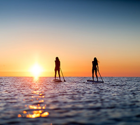 Dolphin Bay Watersports - Marathon, FL