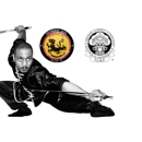 Thundering Lions Kung Fu LLC - Martial Arts Instruction
