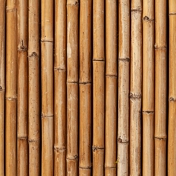 Gallery Image Number 3