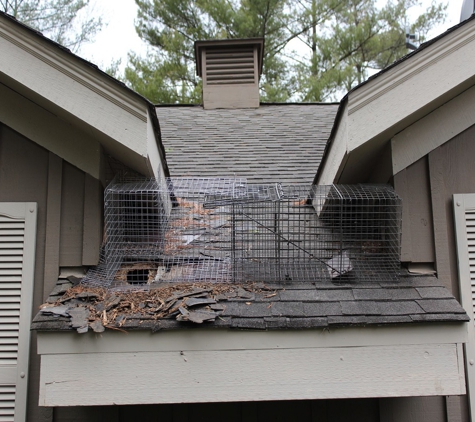 All Wildlife Animal Eviction - Crystal Lake, IL