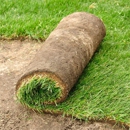 Pfaff Sod & Landscaping - Sod & Sodding Service