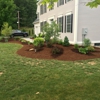 Collegiate Landscaping LLC gallery