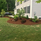 Collegiate Landscaping LLC