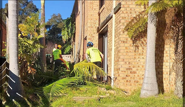 Eurobodalla Tree Services - Moruya, NSW