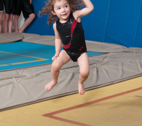 PSDA Martial Arts Gifted and Talented Gymnastics - Plainview, TX