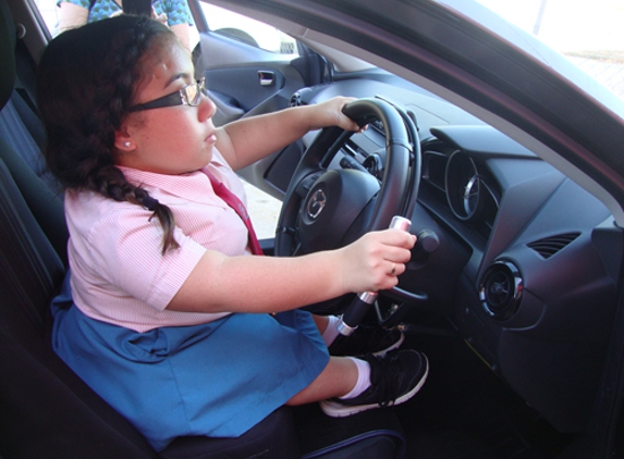 Mobility Modification Services - Garbutt, QLD. Driving Controls