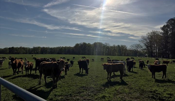 Tennessee Grass Fed Farm - Clarksville, TN