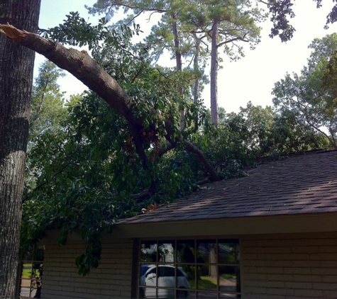 Don's Tree Service - Houston, TX