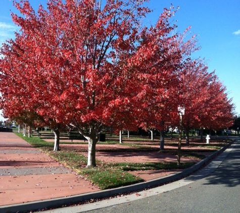 Sacramento County ED Special Education - Mather, CA