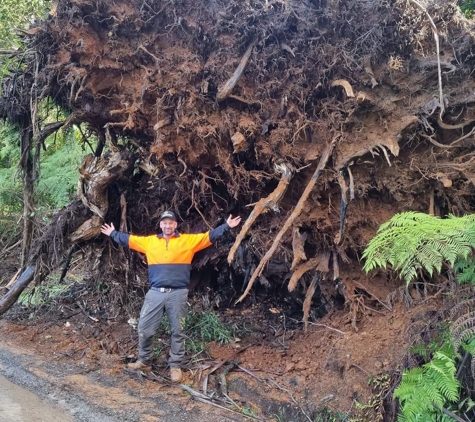 Nelson's Tree Services