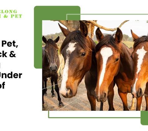 Geelong Farm & Pet - Bell Park, VIC. All Your Pet, Livestock & Fencing Needs Under One Roof