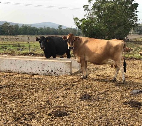 Grahams Precast Concrete Products PTY LTD - Kyogle, NSW