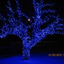 D-Lights ltd. - Holiday Lights & Decorations