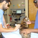 Broadway Veterinary Clinic - Pet Services