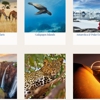 Southlake Travel gallery