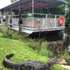 Jean Lafitte Swamp Tours gallery