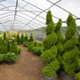 Eagle Crest Nursery