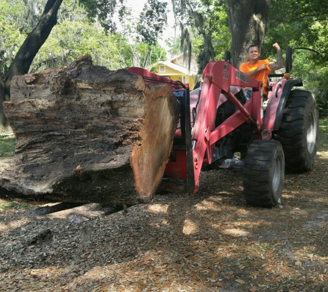 Bakers All Around Tree Service - bartow, FL