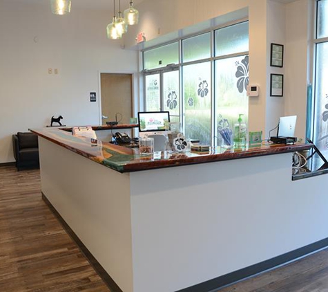 Shores Animal Hospital - Saint Augustine, FL