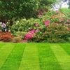 Stanley's Simply Green Lawn Maintenance & Landscaping gallery