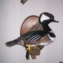 LC's Taxidermy - Taxidermists