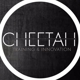 Cheetah Training & Innovation