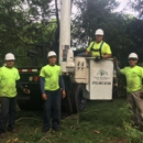 Four Brothers Tree - Tree Service