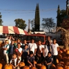 Pumpkin King Pumpkin Patch gallery