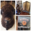 Bison gallery