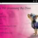 In Home Pet Grooming by Dina - Pet Grooming