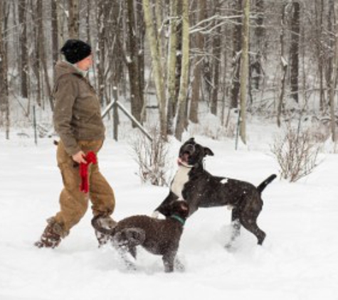 Anastasia's Acres Dog Boarding - Argyle, NY