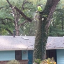 Hunter Tree Service - Tree Service