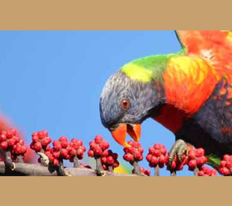 Byron Shire Council