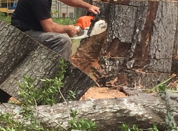 Matt McGinnis Tree Care - Saint Petersburg, FL