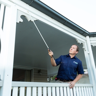 Asset Building & Pest Inspections