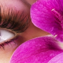 Lash Moi - Beauty Salons