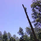 Arborist Standards Tree Care