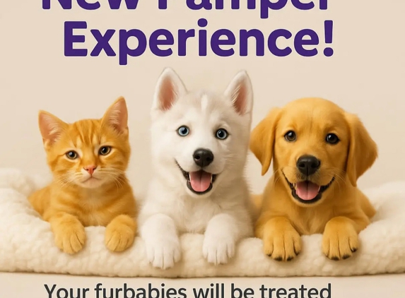 Scrub-A-Dub-Dub Dog & Cat Grooming - Rosemount, QLD