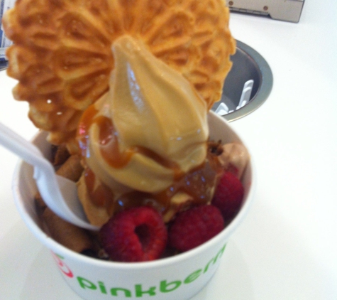 Pinkberry - Philadelphia, PA